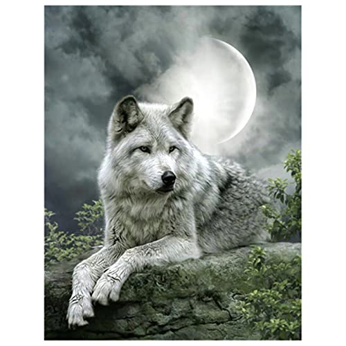 NUISX Kreuzstich Stickpackung 11Ct Sticken Set Erwachsene Kreuzstich 40X50Cm Mond Und Wolf Bedruckte Leinwand Diy Stickbilder Vorgedruckt Kreuzstich Für Anfänger Home Decor von NUISX