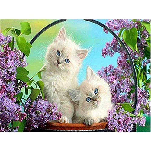 NUISX Reuzstich Stickpackung 11Ct Sticken Set Erwachsene Kreuzstichblumen-Katzen-Tier Diy Stickbilder Vorgedruckt Kreuzstich Für Anfänger Home Decor von NUISX