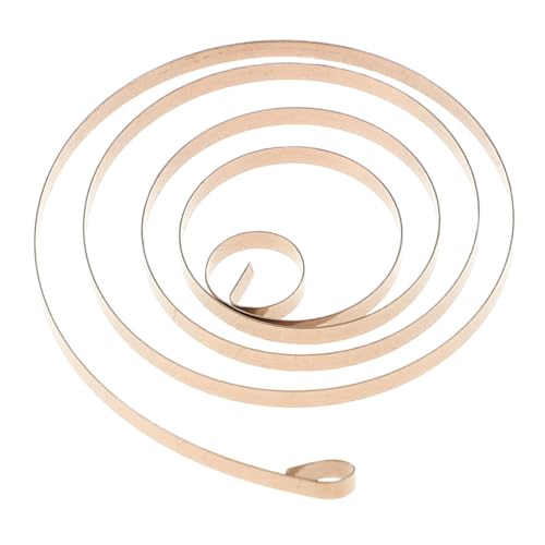 NULYLU Aufziehfeder für Wind Up Spring Zuverlässige Mechanische Spiralfeder Langlebig Stabile Kraft für DIY Mechanische Modelle und Aufziehspielzeuge von NULYLU