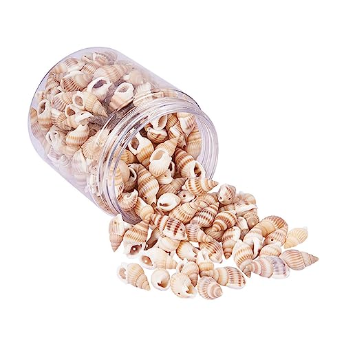 NUOBESTY 1 Schachtel Natürliche Muscheln für Diy Bastelarbeiten Kleine Stranddeko für Kerzenfüllung Aquarium Vasen und Partydekorationen im Strand und Meeresthema NUOBESTY 1 Schachtel Natürliche Muscheln für Diy Bastelarbeiten Kleine Stranddeko für Kerzenfüllung Aquarium Vasen und Partydekorationen im Strand und Meeresthema von NUOBESTY