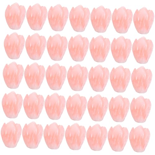 NUOBESTY 100 Stück Geschnitzte Jasminblüten Perlen Hellrosa Korallenoptik Lose Spacer Perlen für Schmuckherstellung Armband Halskette DIY Bastelzubehör NUOBESTY 100 Stück Geschnitzte Jasminblüten Perlen Hellrosa Korallenoptik Lose Spacer Perlen für Schmuckherstellung Armband Halskette DIY Bastelzubehör von NUOBESTY
