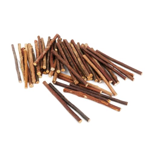 NUOBESTY 100 Stück Holzstäbchen Durchmesser für DIY Bastelprojekte und Fotorequisiten Unbehandelt Holzfarbe für Malerei und Pyrographie NUOBESTY 100 Stück Holzstäbchen Durchmesser für DIY Bastelprojekte und Fotorequisiten Unbehandelt Holzfarbe für Malerei und Pyrographie von NUOBESTY