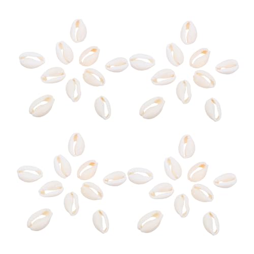 NUOBESTY 2 Packungen Natürlicher Muschelanhänger Muschelanhänger Kauri Schmuck Muscheln Ozeanschmuck Muschelperlen Spiralmuschelanhänger Kauri Strandmuscheln Handgefertigter von NUOBESTY