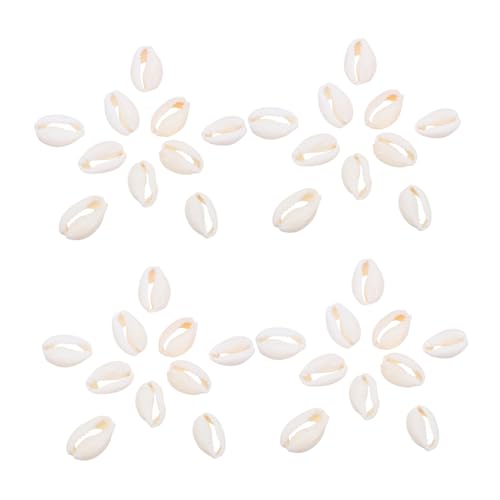 NUOBESTY 2 Packungen Naturalschalenanhänger Ozeanschmuck, Die Perlen Machen Muschelschalenanhänger Muschel-charm-anhänger Spiralschalenzauber Lose Muschelhalterperlen Muschelzubehör Hülse von NUOBESTY