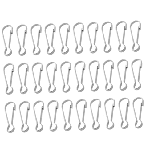 NUOBESTY 30 Stück Edelstahlschwein Gallenblase Snap Hanging Clip Snap Clip Slips Haken Rostfrei Schlüsselbund Haken Diy Abnehmbare Feder Aus Metall Silber Rostfreier Stahl von NUOBESTY