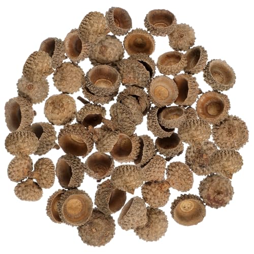 NUOBESTY 50 Stück Natürliche Schalen für Bastelarbeiten Trockenblumen und Foto Requisiten Set für Hochzeiten Herbstpartys und Dekoration zu Hause NUOBESTY 50 Stück Natürliche Schalen für Bastelarbeiten Trockenblumen und Foto Requisiten Set für Hochzeiten Herbstpartys und Dekoration zu Hause von NUOBESTY