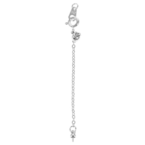 NUOBESTY Verstellbare Halskettenverlängerung Mit Karabiner Ca DIY Schmuck Zubehör Kettenverlängerung Für Halsketten Und Armbänder Schwanzkette NUOBESTY Verstellbare Halskettenverlängerung Mit Karabiner Ca DIY Schmuck Zubehör Kettenverlängerung Für Halsketten Und Armbänder Schwanzkette von NUOBESTY