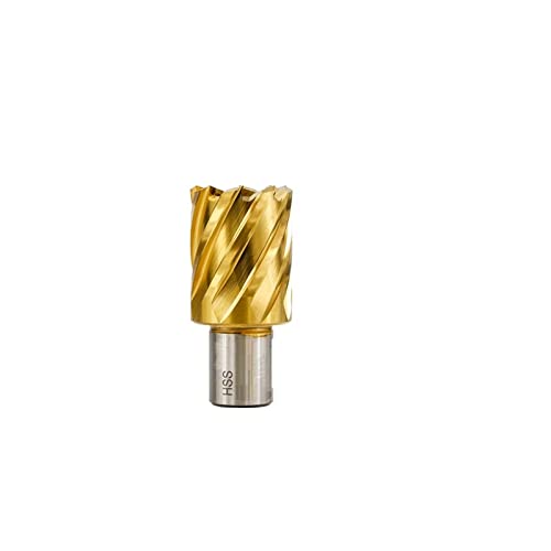 NUSHKI HSS-Hohlbohrer TiN-Beschichtung Kernbohrer Weldon-Schaft-Ringschneider Zum Metallschneiden Magnetbohrer,38 X 35 Mm NUSHKI HSS-Hohlbohrer TiN-Beschichtung Kernbohrer Weldon-Schaft-Ringschneider Zum Metallschneiden Magnetbohrer,38 X 35 Mm von NUSHKI