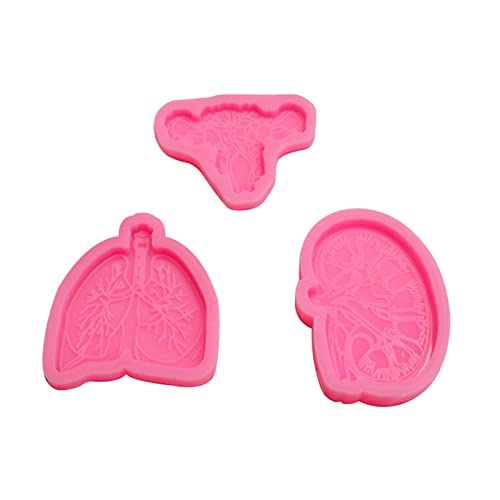 Harzform für Arzt-Abzeichen, Organe, Epoxid-Gussformen für Namenskarten, Anhänger, Schmuck, Silikon-Schlüsselanhänger Harzform für Arzt-Abzeichen, Organe, Epoxid-Gussformen für Namenskarten, Anhänger, Schmuck, Silikon-Schlüsselanhänger von NVOQILIN
