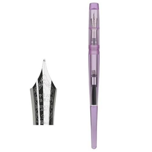 NVVVNX Acryl-Füllfederhalter mit langem Schwanz, Iridium-Feder F, 0,5 mm, schönes farbiges Muster, transparenter Büro-Tintenstift mit Geschenkbox (B) von NVVVNX