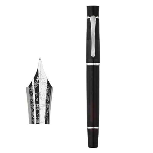 NVVVNX Kolbenfüllhalter aus Acryl, feine Spitze, mit Geschenkbox, 12 Stück NVVVNX Kolbenfüllhalter aus Acryl, feine Spitze, mit Geschenkbox, 12 Stück von NVVVNX