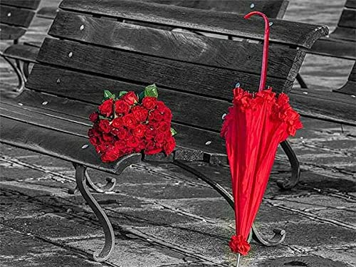 NYIXIA Kreuzstich Stickpackungen Vorgedruckt Set Erwachsene, Rote Blume Roter Regenschirm,40×50cm,Stickvorlagen Stickbilder Kreuzstich Stickpackung Sticken Starter Set für Erwachsene Kinder AnfäNger von NYIXIA