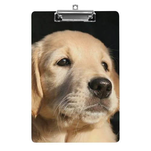 Golden Retriever Hund Klemmbretter A4 Klemmbrettmappe Schreibbrett Zwischenablage Mit Low Profile Clip von NYKVTG