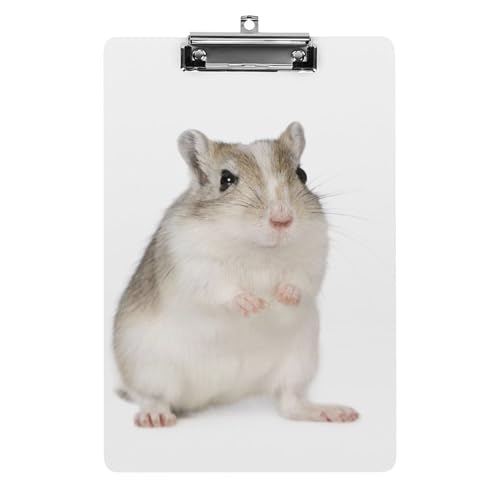 Hamster Klemmbrett A4 Schreibbrett Pad Halter Für Büro Klassenzimmer Restaurants Hamster Klemmbrett A4 Schreibbrett Pad Halter Für Büro Klassenzimmer Restaurants von NYKVTG