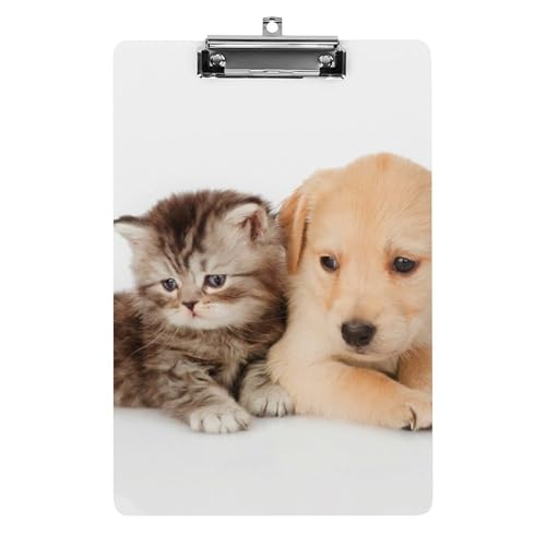 Kätzchen Und Welpe Klemmbrett A4 Schreibbrett Pad Halter Für Büro Klassenzimmer Restaurants Kätzchen Und Welpe Klemmbrett A4 Schreibbrett Pad Halter Für Büro Klassenzimmer Restaurants von NYKVTG