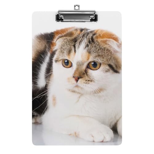Katze Klemmbrett A4 Schreibbrett Pad Halter Für Büro Klassenzimmer Restaurants Katze Klemmbrett A4 Schreibbrett Pad Halter Für Büro Klassenzimmer Restaurants von NYKVTG