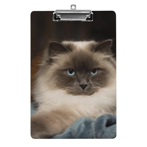 Süße Katze Klemmbrett A4 Schreibbrett Pad Halter Für Büro Klassenzimmer Restaurants von NYKVTG