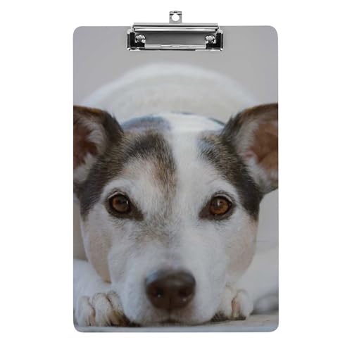 Süßer Hund Klemmbrett Zum Aufhängen Clipboard Hartplatten Klemme Für Papier Dokumente Süßer Hund Klemmbrett Zum Aufhängen Clipboard Hartplatten Klemme Für Papier Dokumente von NYKVTG