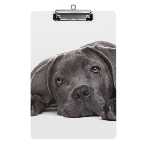 Süßer Schwarzer Welpe Klemmbrett Zum Aufhängen Clipboard Hartplatten Klemme Für Papier Dokumente Süßer Schwarzer Welpe Klemmbrett Zum Aufhängen Clipboard Hartplatten Klemme Für Papier Dokumente von NYKVTG