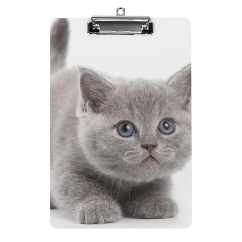 Süßes Kätzchen Klemmbrett Zum Aufhängen Clipboard Hartplatten Klemme Für Papier Dokumente von NYKVTG