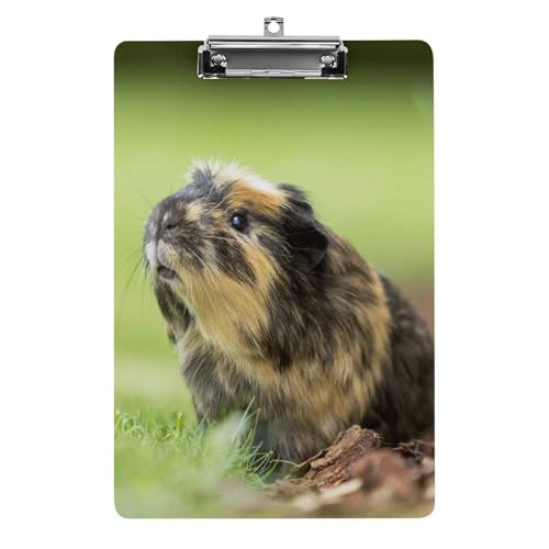 Süßes Meerschweinchen Klemmbrett A4 Schreibbrett Pad Halter Für Büro Klassenzimmer Restaurants Süßes Meerschweinchen Klemmbrett A4 Schreibbrett Pad Halter Für Büro Klassenzimmer Restaurants von NYKVTG
