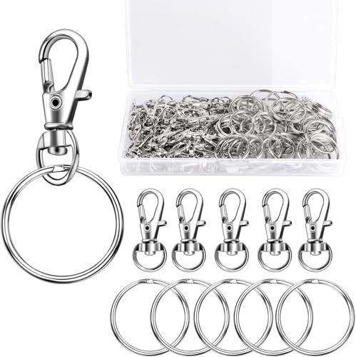 100 Stück Schlüsselringe Karabinerhaken Klein Schlüsselanhänger Drehgelenk Karabiner Edelstahl mit Kunststoffbox Schlüsselanhänger Machen Basteln 100 Stück Schlüsselringe Karabinerhaken Klein Schlüsselanhänger Drehgelenk Karabiner Edelstahl mit Kunststoffbox Schlüsselanhänger Machen Basteln von NYRTCD