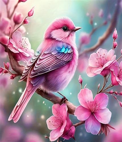 NYSDYSMYX Vogel Malen Nach Zahlen Erwachsene,Paint by Numbers Adult,Cheerful Painting,Diy Handgemalt Kreativ Bastelset für Geschenk Heimdekoration. (Vogel) von NYSDYSMYX