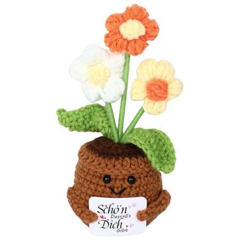 Pocket Hug Positive Geschenke Bunter Strauß,Niedlich Dankeschön Geschenke,Stricken Wolle Kollegen Geschenk,Danke Dass du mir Beim Wachsen Geholfen Hast,Geschenk für Freunde,Kollegen und Familie von NYTGAH