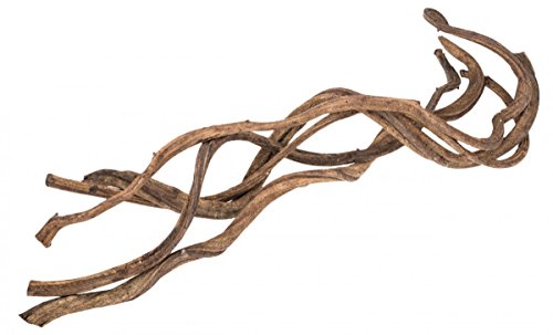 NaDeco Cipo Fina Lianen, Länge 60cm, Bund mit 5 STK | Dekoliane | Terrarium Dekoration | Vollieren Dekoration | Sitzstange | Curly Vine | Lianen Deko | Dekowurzel | Dekoholz | Holzdeko | Cipo Liane NaDeco Cipo Fina Lianen, Länge 60cm, Bund mit 5 STK | Dekoliane | Terrarium Dekoration | Vollieren Dekoration | Sitzstange | Curly Vine | Lianen Deko | Dekowurzel | Dekoholz | Holzdeko | Cipo Liane von NaDeco