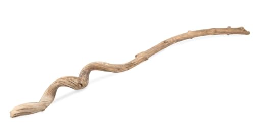 NaDeco Deko Liane Dula Long, Länge ca. 100cm, Ø 3-5 cm | Dekoholz | Lianenholz | Deko Wurzel | Luftwurzel | Holzdeko | Terrarium Dekoration | Vollieren Dekoration | Dschungel Deko | Sitzstange NaDeco Deko Liane Dula Long, Länge ca. 100cm, Ø 3-5 cm | Dekoholz | Lianenholz | Deko Wurzel | Luftwurzel | Holzdeko | Terrarium Dekoration | Vollieren Dekoration | Dschungel Deko | Sitzstange von NaDeco