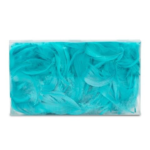 NaDeco Dekofedern 15g, ca. 5-10cm, 15 Farben zur Auswahl | Dekofedern zum Basteln und Dekorieren | DIY Hochzeit Federn | weiße Bunte Federn | Deko Feder | Bastelfedern | Vogelfedern, Farbe:Türkis NaDeco Dekofedern 15g, ca. 5-10cm, 15 Farben zur Auswahl | Dekofedern zum Basteln und Dekorieren | DIY Hochzeit Federn | weiße Bunte Federn | Deko Feder | Bastelfedern | Vogelfedern, Farbe:Türkis von NaDeco