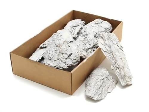 NaDeco Weiße Baumrinde - Packung mit ca. 1,5kg | Dekoratives Material | Baumrinde zum Basteln und Dekorieren von NaDeco