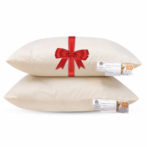 NachtrustOnline Terschellinger Wolle Kopfkissen 60x70 cm - 2er Kissen Set - Mit 800 Gramm füllung aus Schurwoll NachtrustOnline Terschellinger Wolle Kopfkissen 60x70 cm - 2er Kissen Set - Mit 800 Gramm füllung aus Schurwoll von NachtrustOnline