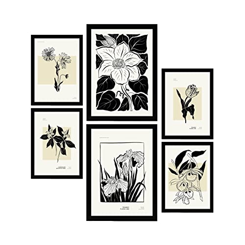 Nacnic Set mit 6 Postern in schwarzer Tinte. Blumen. Kunstdrucke im Skizzenstil für Innenarchitektur und Dekoration. A3 & A4 Schwarze Rahmen. von Nacnic