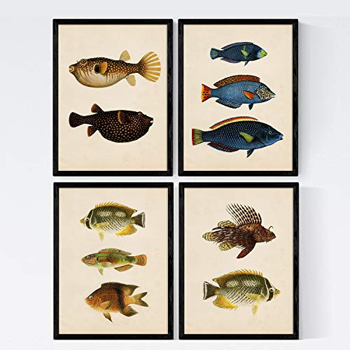 Nacnic Set 4 Blatt Fisch Jahrgang bunten Effekt. Timor. Zusammensetzung von 10 verschiedenen Fischen im A4-Format, Jahrgang Hintergrund Altpapier Poster Papier 250 gr hohe Qualität. Marco von Nacnic