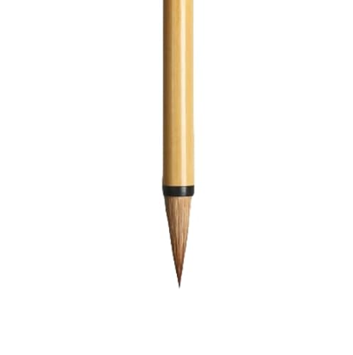 Namzi Chinesische Kalligraphie-Pinsel, Kanji, japanische Kunst, Sumi, Schreiben, Malen, Zeichnen, Übungspinsel für Anfänger, Wolfshaar, Größe M, 2 Stück Namzi Chinesische Kalligraphie-Pinsel, Kanji, japanische Kunst, Sumi, Schreiben, Malen, Zeichnen, Übungspinsel für Anfänger, Wolfshaar, Größe M, 2 Stück von Namzi