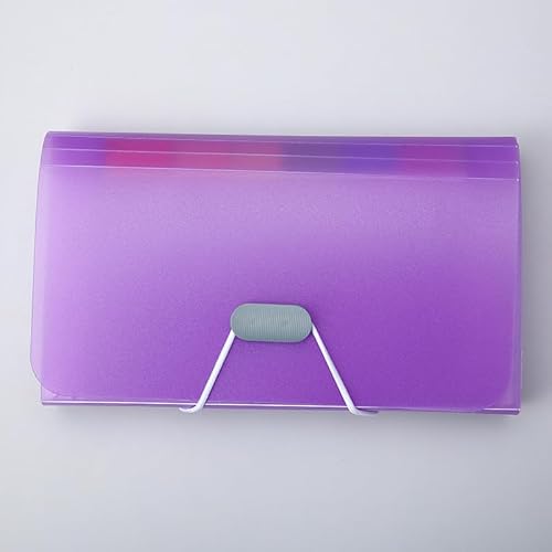 Namzi Fächermappe, 13 Fächer, PP-Brieftaschen-Organizer für Karten, Quittungen, Gutscheine und Tickets, Violett, 2 Stück Namzi Fächermappe, 13 Fächer, PP-Brieftaschen-Organizer für Karten, Quittungen, Gutscheine und Tickets, Violett, 2 Stück von Namzi