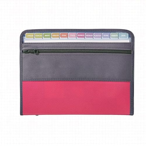 Namzi Fächermappe (35 x 26,5 x 3,5 cm), A4-Größe, Dokumenten-Organizer, feuerfeste Geldtasche, 13 Fächer, Reißverschluss, tragbare Dokumentenmappe, Aufbewahrung für Schecks, Rechnungen (Rosa) von Namzi