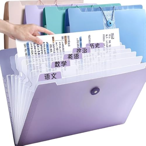 Namzi Fächermappe mit 12 Fächern, Akkordeon-Aktenordner mit Etiketten, tragbarer Dokumentenpapier, Rechnungen, Quittungen, Zuhause, Uni, Schule, Büro, Briefgröße, Violett Namzi Fächermappe mit 12 Fächern, Akkordeon-Aktenordner mit Etiketten, tragbarer Dokumentenpapier, Rechnungen, Quittungen, Zuhause, Uni, Schule, Büro, Briefgröße, Violett von Namzi