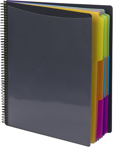Namzi Poly-Projekt-Organizer mit 12 Fächern, Briefgröße, 1/3-geschnittene Registerkarte, Grau mit hellen Farben (A01, 2 Stück) von Namzi