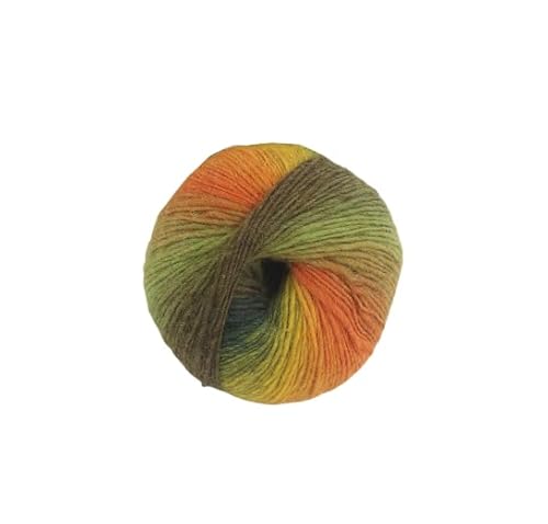 Namzi Regenbogen-Garn, weich, 100 % Wolle, Farbverlauf, mehrfarbiges Garn zum Häkeln, Stricken, Gesamtlänge 180 m × 4,784 m, 200 g, D, 4 Stück von Namzi