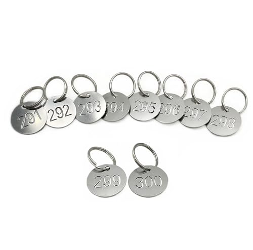NanTun Nummernschilder 1–400, 25 mm, 304 Edelstahl, ausgehöhlt, nummeriert, Schlüsselanhänger mit Ringen, Nummernschilder, Schlüsselanhänger von NanTun