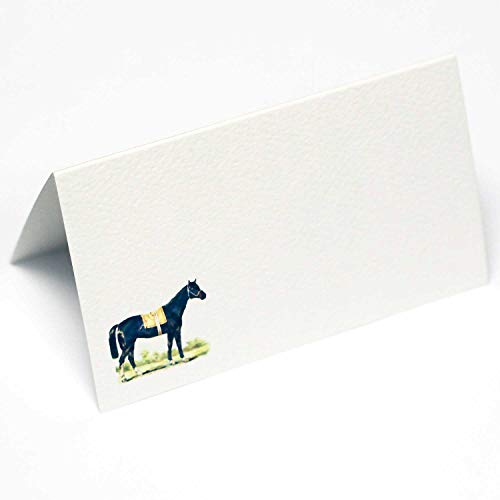 Nancy Nikko Design Tischkarten mit Rennpferd Illustration für Pferde Mottopartys und Events. Tischzeltstil, für einfaches Falten. Erhältlich in 12er und 25er Packung. White With Blue and White von Nancy Nikko