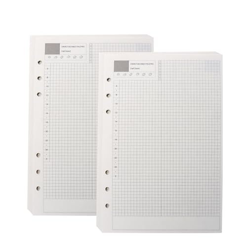 NatSumeBasics A5-Nachfüllpapier, 12,7 x 20,3 cm, undatiert, Tagesbucheinlagen, 90 Blatt, 6 Löcher, Taschennotizpapier für persönliches Reisetagebuch, Tagebuch (2 A5 täglich) von NatSumeBasics