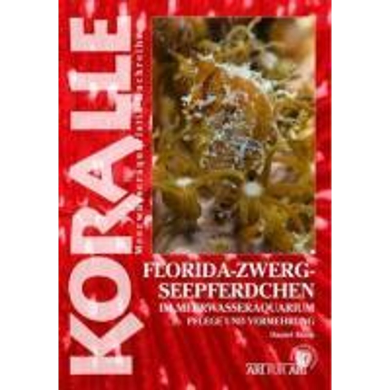 Florida-Zwergseepferdchen Im Meerwasseraquarium - Daniel Knop, Kartoniert (TB) von Natur und Tier-Verlag