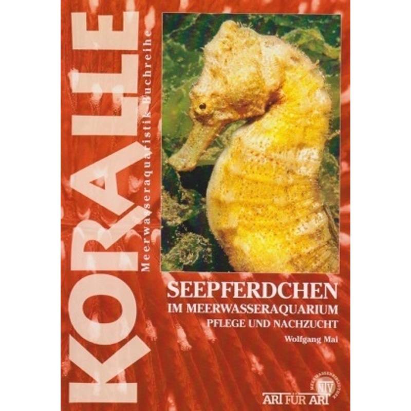 Seepferdchen Im Meerwasseraquarium - Wolfgang Mai, Kartoniert (TB) von Natur und Tier-Verlag