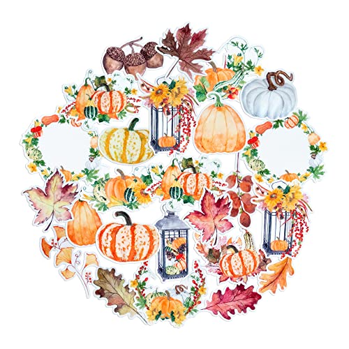 Navy Peony Cute Pumpkin Fall Stickers (25 pieces)- Niedlich, wasserfest und langlebig | Aufkleber für Wasserflaschen, Laptops, Sammelalben und Tagebücher von Navy Peony