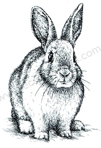 Clear stamps - Animals - Kaninchen von Nellie Snellen