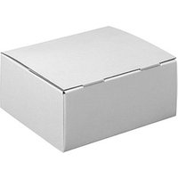 20 Nestler Versandkartons Pack-Set S 25,0 x 17,5 x 10,0 cm von Nestler