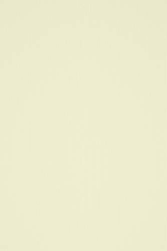 10 Blatt Elfenbein Karton 240g beidseitig filzmarkiert mit Linienstruktur DIN A4 210x297 mm, Acquerello Avorio, ideal für Einladungen, Visitenkarten, Diplome, Zertifikate, Speisekarten, Displays von Netuno